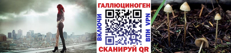 Купить где  Кропоткин  Псилоцибиновые грибы прущие грибы 